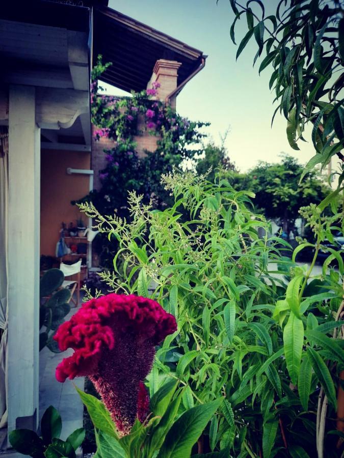 Alice'S Room By Casolare Isabella Ponsacco Exterior foto