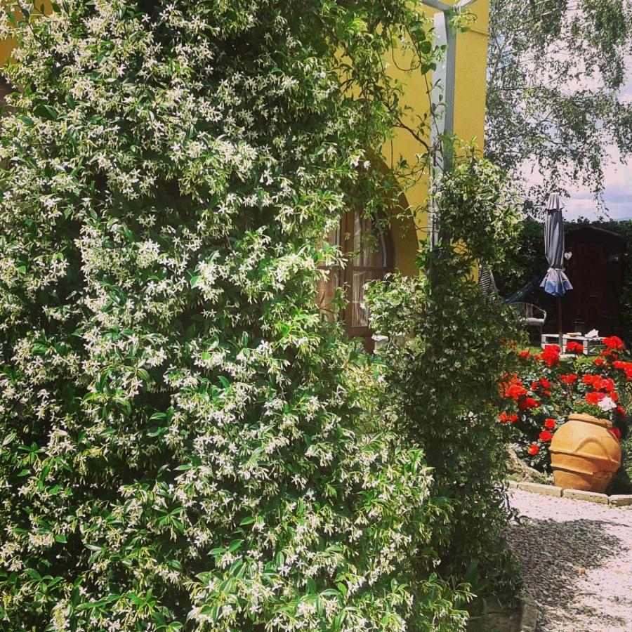 Alice'S Room By Casolare Isabella Ponsacco Exterior foto